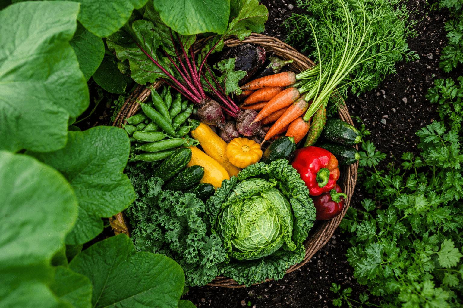 Black-owned farm producer at work